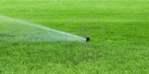 sprinkler watering a lawn