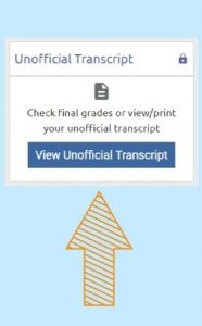 Unofficial Transcript Service Image - Box to click on in ONE.UF to get your unofficial transcript