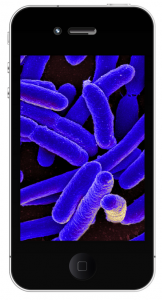 IMAGE: Phone with germ spores covering it.