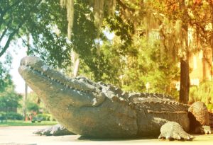 PHOTO: Gator statue on campus with a color-wash filter overlay