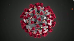 IMAGE: CDC Visual of the Coronavirus