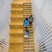 PHOTO: Students on Newell Hall stairwell. University of Florida.